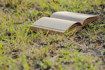 Open book on the grass