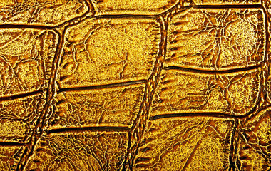 Golden alligator patterned background