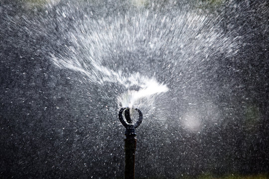 silhouette of water springler background.