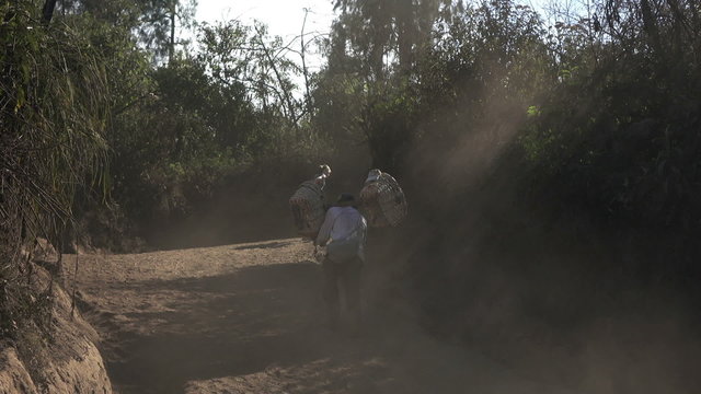 Ijen volcano, worker carrying empty basket
