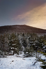snow covered peak and forest