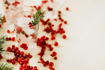Glass of ice with cranberries, copy space