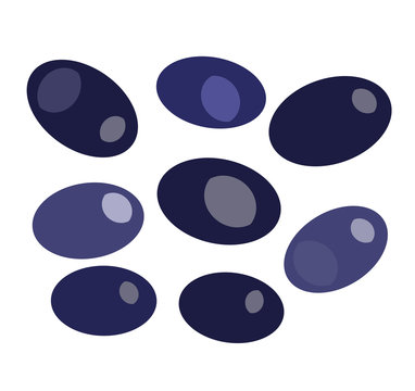Black olives isolated on white backround vector illustration