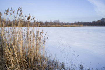 zamarznięty staw ślady wędkarzy na lodzie © Piotr Szpakowski