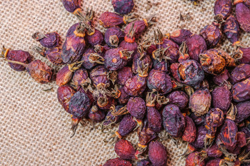 Dried berries of the medicinal wild rose