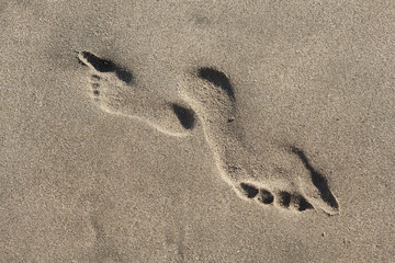 I am not going to go your way!