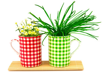 Green and red cups with spring flowers and plants on the mat