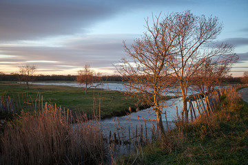 Canal dans la Camargue avec arbre et coucher de soleil