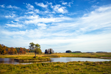 beautiful lake in Dyrehave park, Denmark