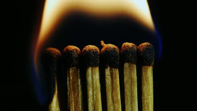 A number of matches ignited from one another