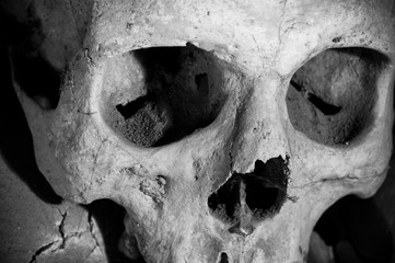 Fototapeta premium Skull of Cemetery in Naples - Italy