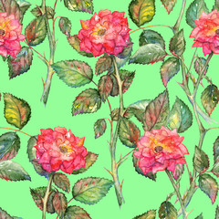 Watercolor pink roses seamless pattern texture background