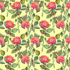 Watercolor pink roses seamless pattern texture background