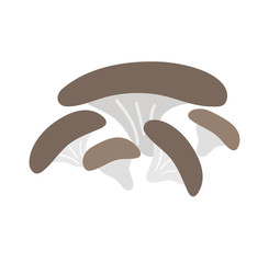 Brown champignon mushroom isolated on white background