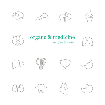 Organs & Medicine