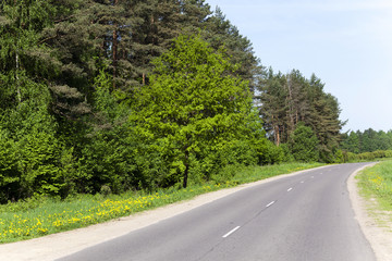asphalt road . spring