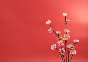 Chinese new year's decoration for Spring festival