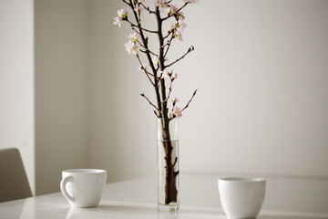 sakura on the table with cups