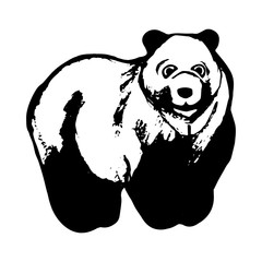 Brown bear (pattern abstraction)