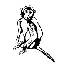 Monkey sitting - abstraction