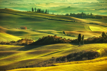 Obraz premium Tuscany spring, rolling hills on misty sunset. Rural landscape.