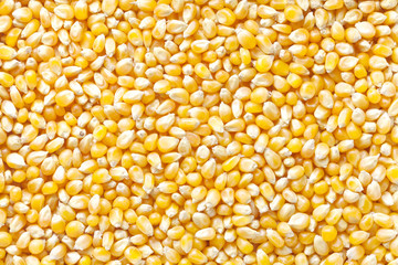 corn