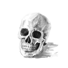 Skull with white background