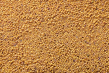 mustard seed