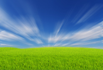 Obraz premium Green Fields with blue sky and Moving clouds