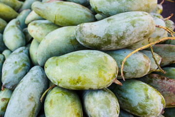 Mangifera indica, fresh mangos.
