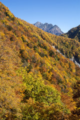 中部山岳の明神岳と紅葉
