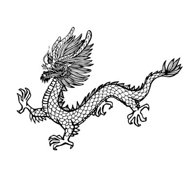 Vector of hand draw asian dragon