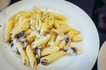 penne creamy mushroom sauce