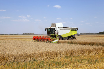 Obraz premium Harvester in the field