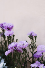 Fototapeta premium vintage flower style background