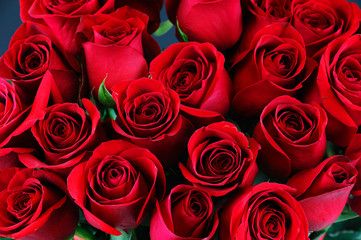 fresh red roses in a bouquet as background