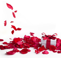 Red roses and gift box on white background