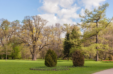 park on a sunny spring day