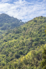 Naklejka premium mountain and sky