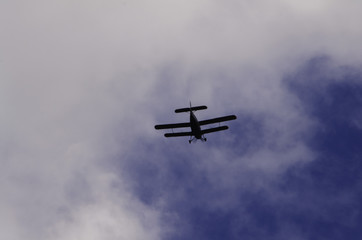 Fototapeta na wymiar A small plane in the sky. Maize. 