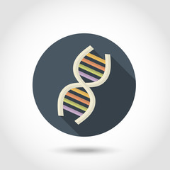 Human DNA flat icon