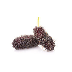 Mulberry isolated on white background