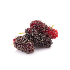 Mulberry isolated on white background
