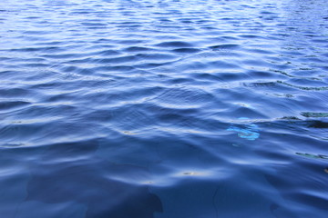 wimming pool water surface with sparkling light reflections