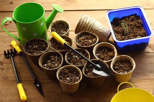 preparation for planting