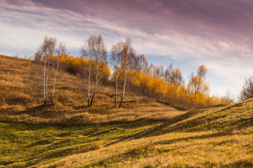 Fototapeta premium Autumn scenery in remote rural area in Transylvania