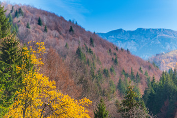 Fototapeta na wymiar Autumn scenery in remote rural area in Transylvania