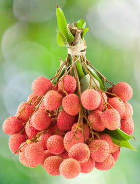 grappe de litchis