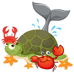 Different type of sea animals