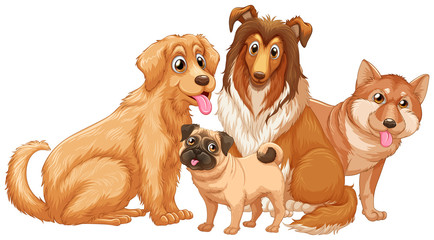 Different type of cute puppy dogs © GraphicsRF